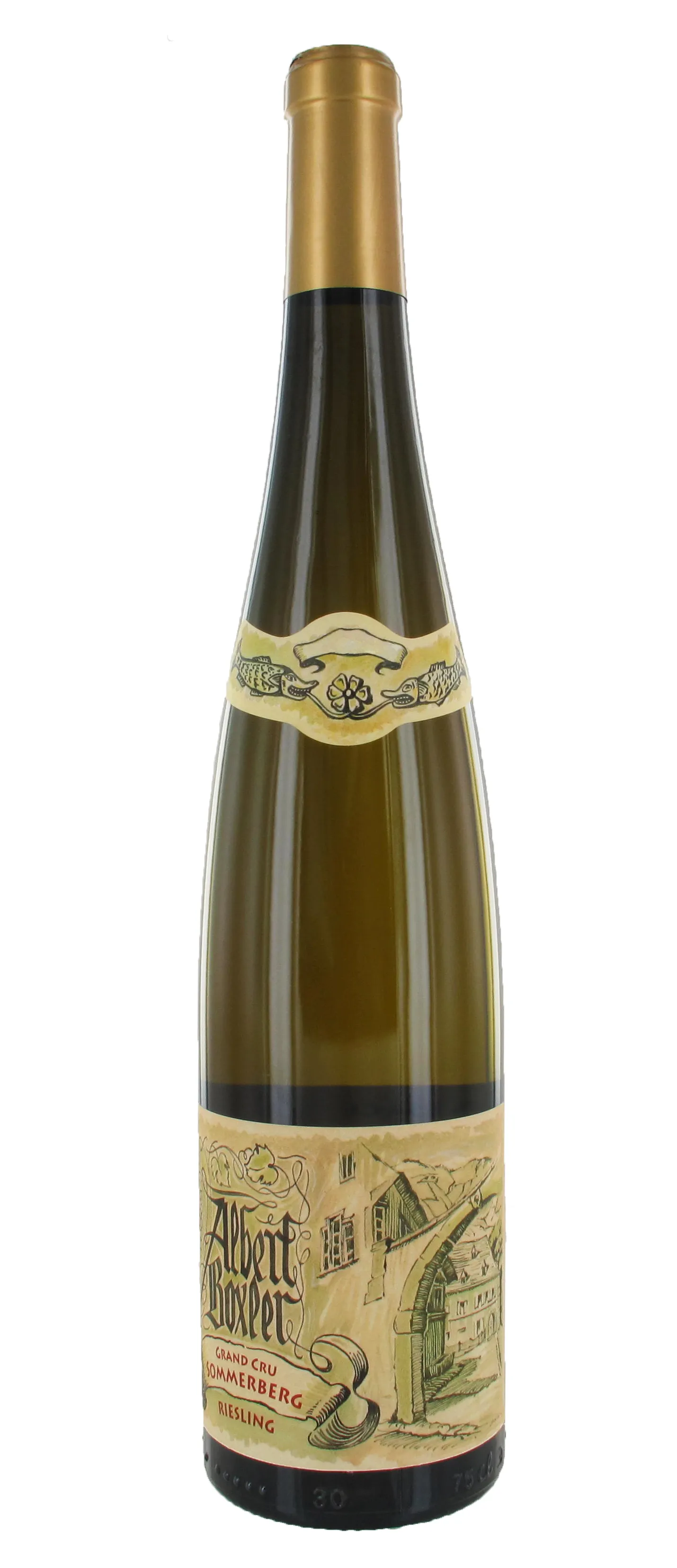 Riesling Sommerberg GC JV