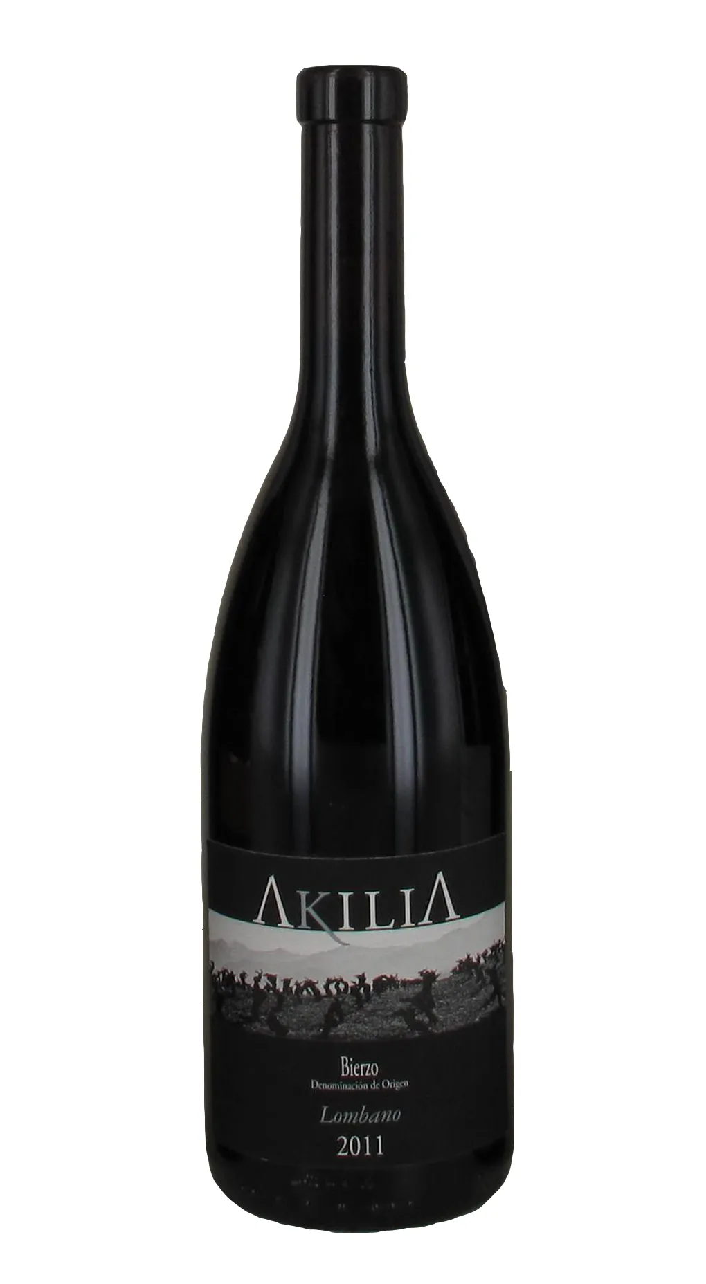 Lombado Tinto Mencia Azienda Akilia Bierzo